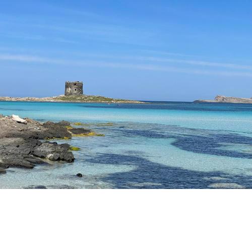 I Pescatori di Stelle-L13 LA SUPERBA