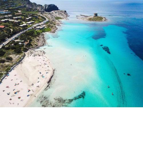 I Pescatori di Stelle-L15 SHEDIR