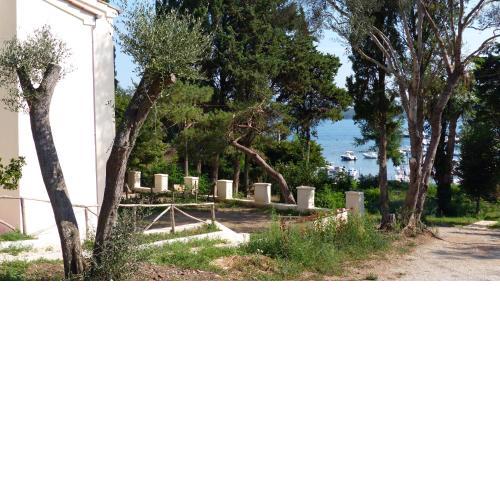 I Pesci nel golfo di Baratti