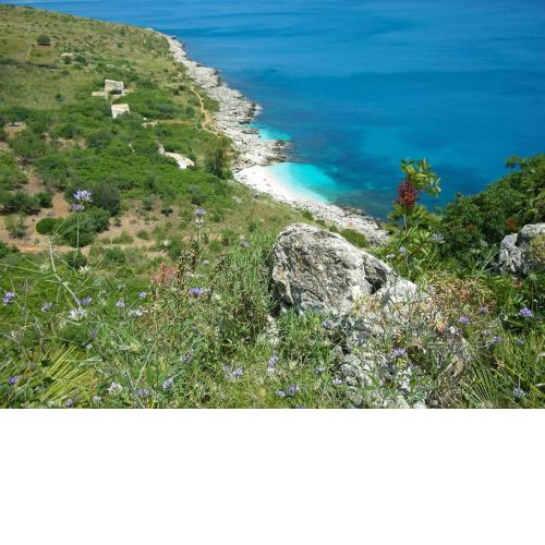 I Segreti di Antonina