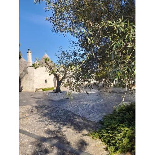 I TRULLI DI CLIO
