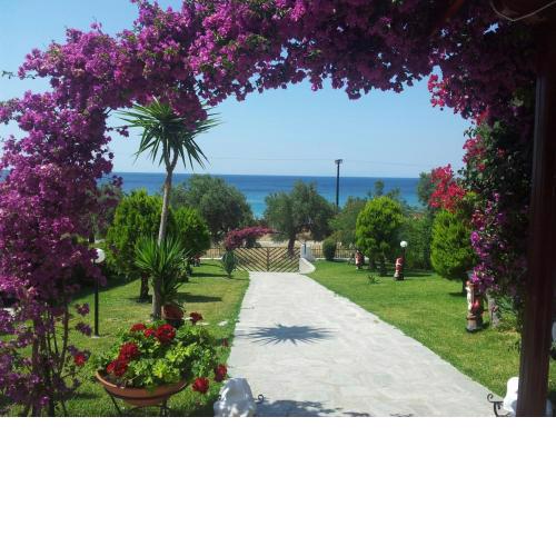 Ianos