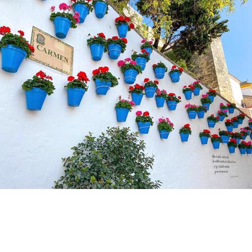 Idyllic Townhouse in Marbella Old Town