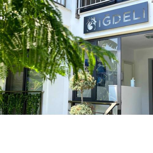 İğdeli Aparts