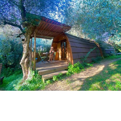 Igloo Mobil Home