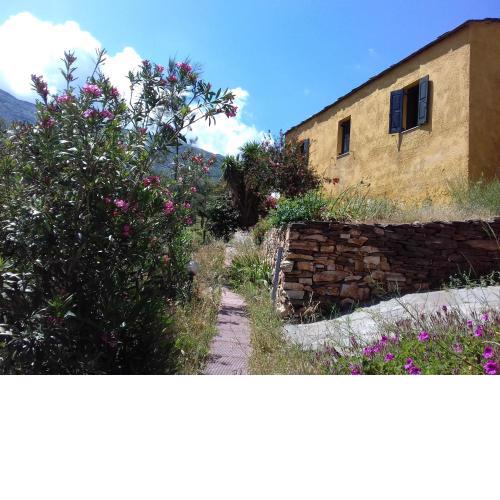 Ikarian Centre - Accommodation with activities