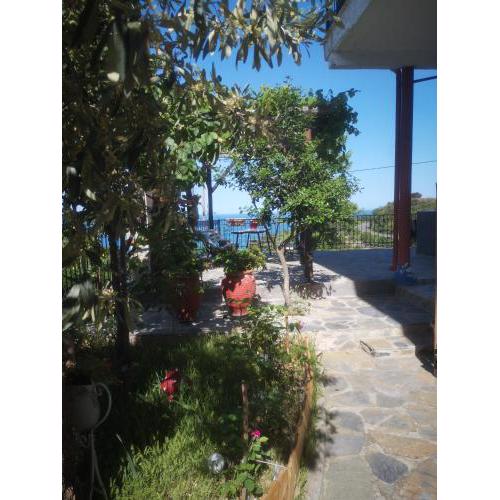 ikia holiday country apartment