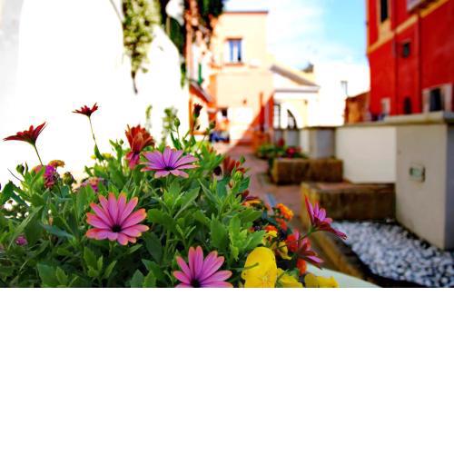Il Borghetto Apartments & Rooms