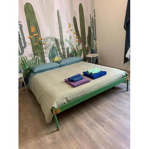 IL CACTUS