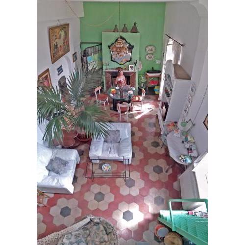 Il Camaleonte