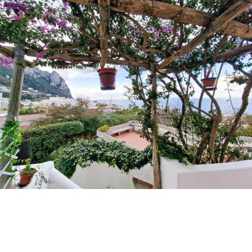 Il Cantuccio Rooms