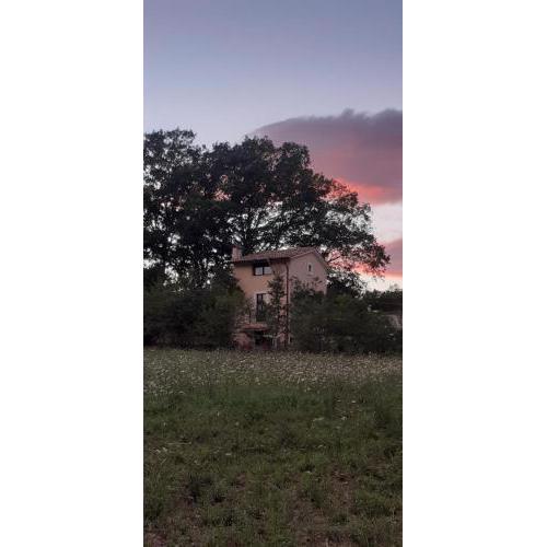 Il Casaletto nel bosco