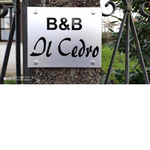 Il cedro