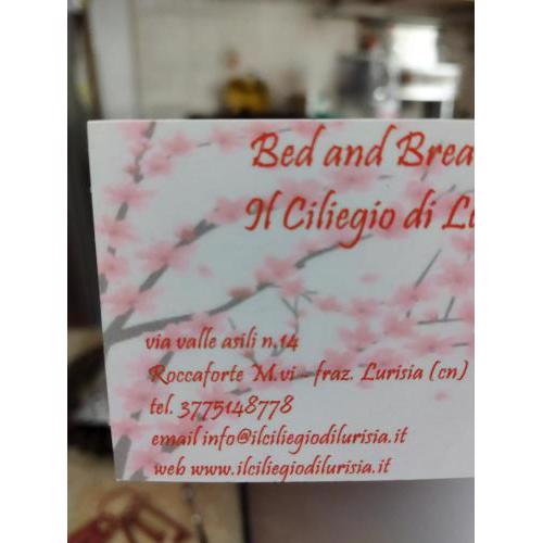 Il Ciliegio di Lurisia