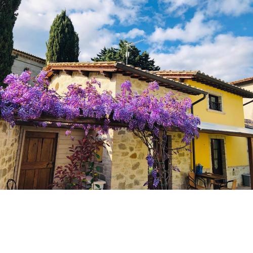 Il Cortile delle Rose Holiday House