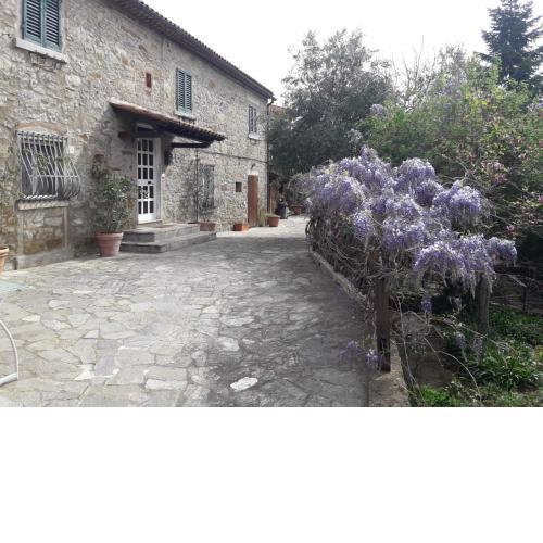Il Fico di Cortona