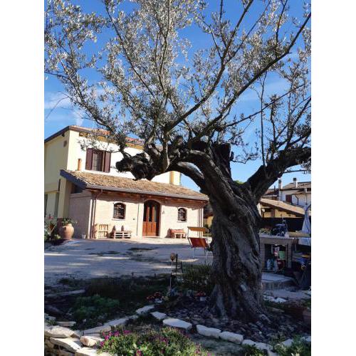 Il Focolare B&B