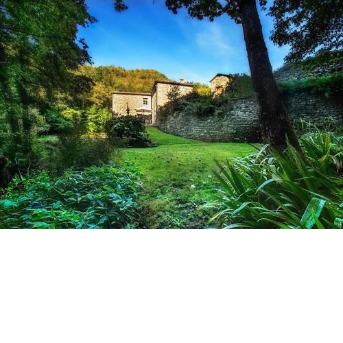 il Friscello
