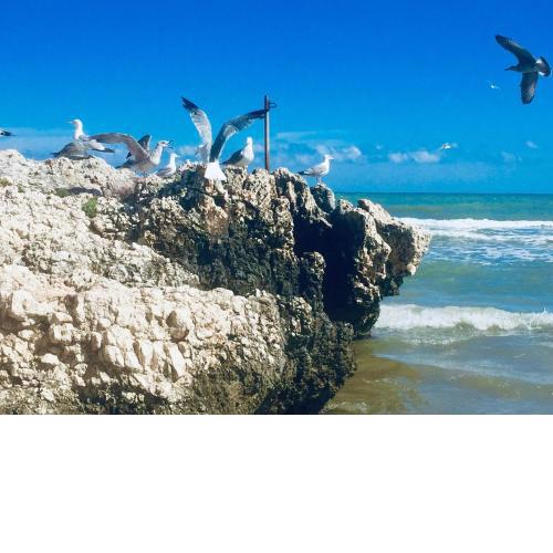 Il gabbiano, attico con terrazzo vista mare