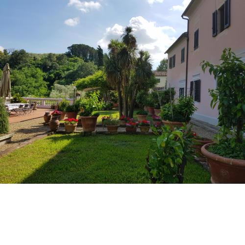IL GAMBURLACCIO