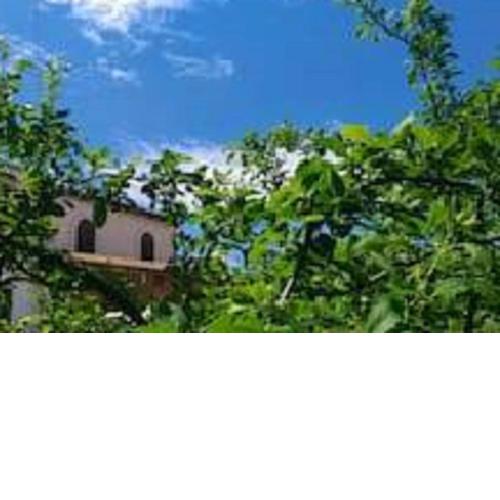 Il Gelsomino Home Holiday