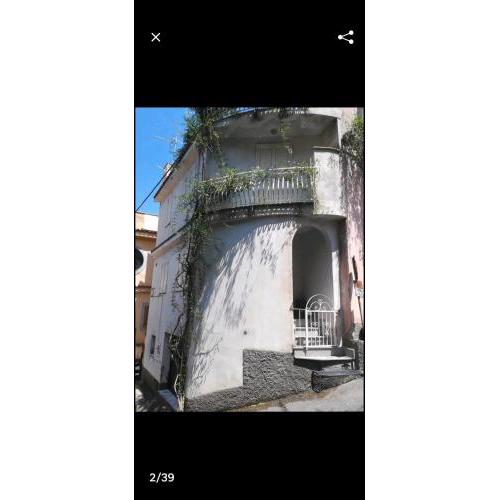 Il gelsomino