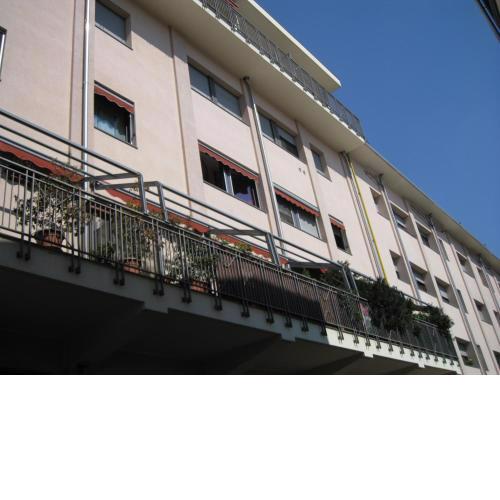 Il Giacinto