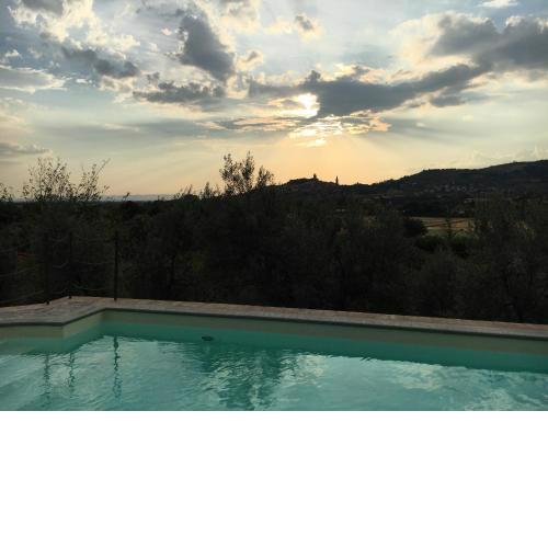 Il Giardino degli Olivi