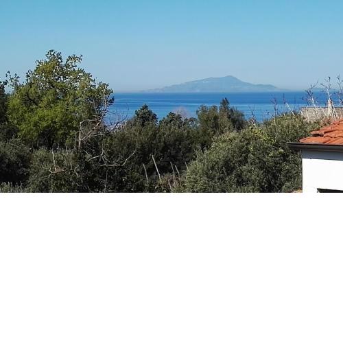 Il Giardino dei Gigli