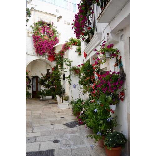 Il Giardino del Borgo Antico
