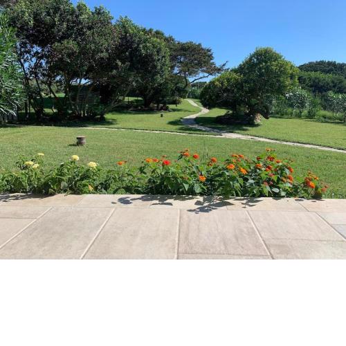 Il giardino sulla Pelosa