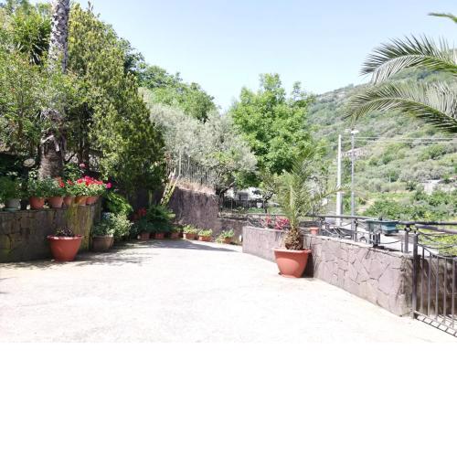 IL GIARDINO (The garden)
