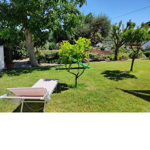 Il giardino