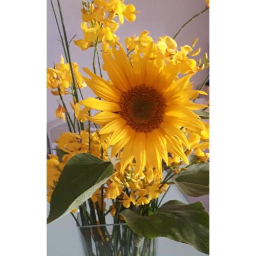 Il Girasole del Lago