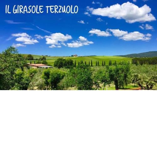 Il Girasole Terzuolo