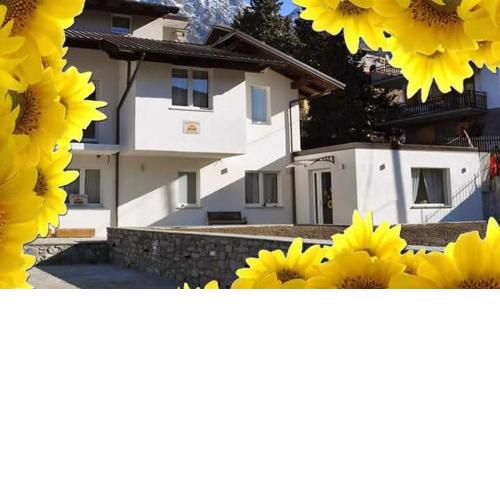 Il Girasole