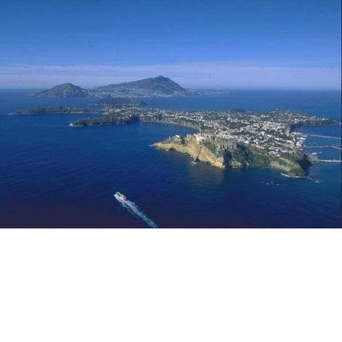 Il Glicine