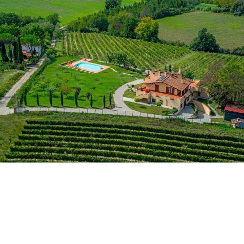 Il Gufo del Chianti
