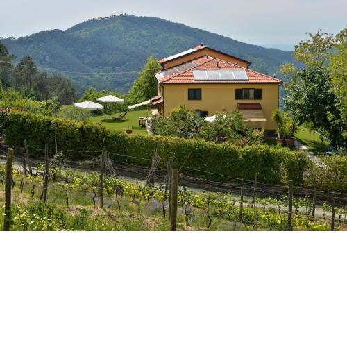 Il Laghello di Amina