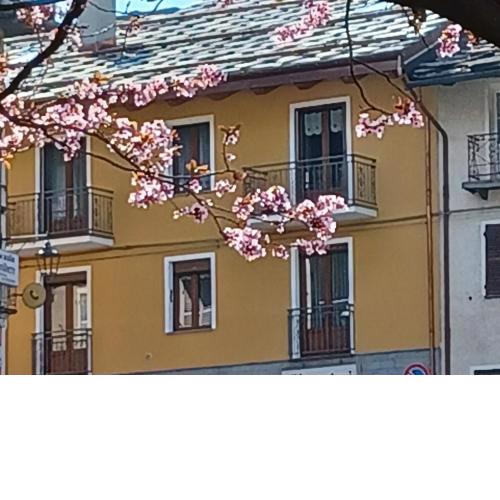 Il Larice