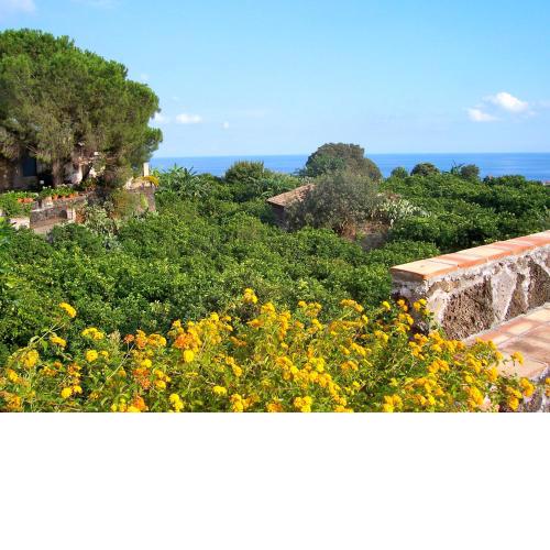 Il Limoneto Acireale