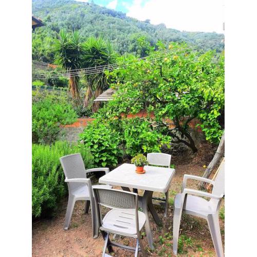 Il limoneto dei Cinque Sensi,apartment with garden