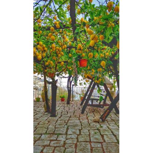 Il Limoneto di Lulù, holidays among the lemon trees