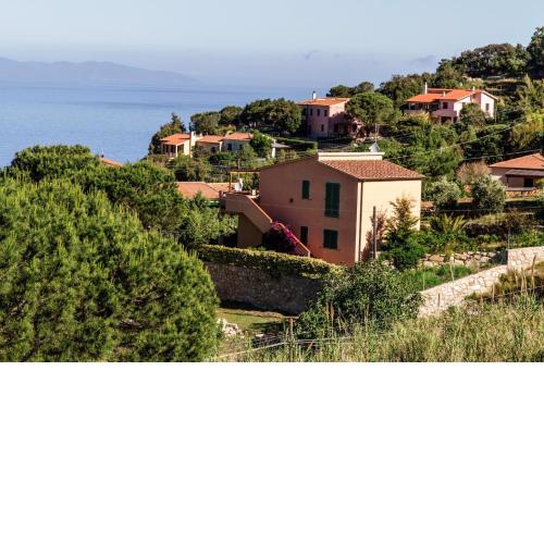 Il Mandorlo