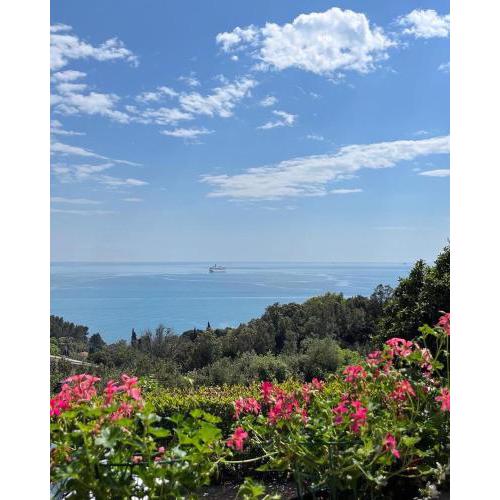 IL MARE BLU