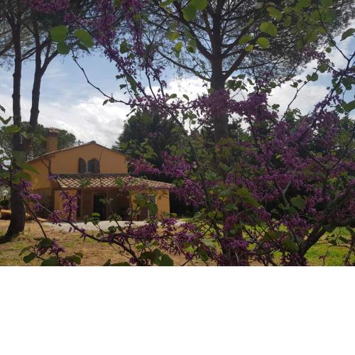 Il Montedoro
