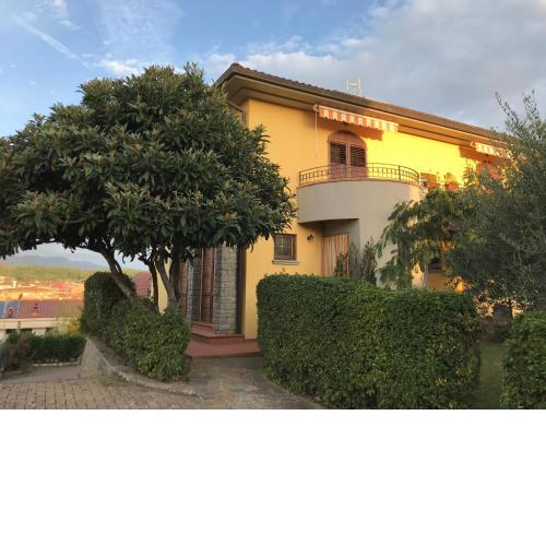 Il Nespolo
