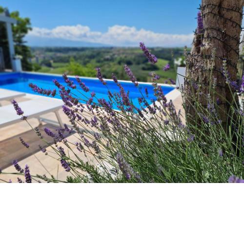 Il Nido B&B