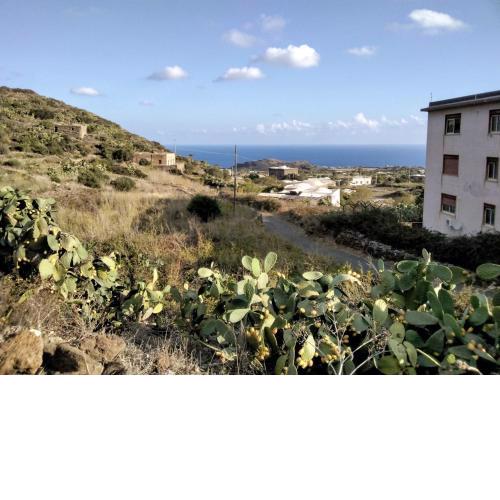 Il nido delle aquile