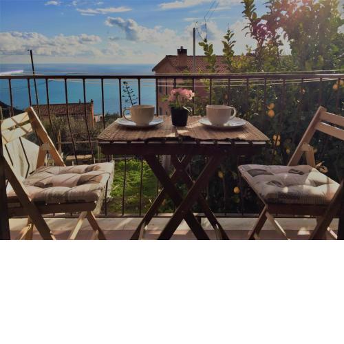 Il nido delle Cinque terre